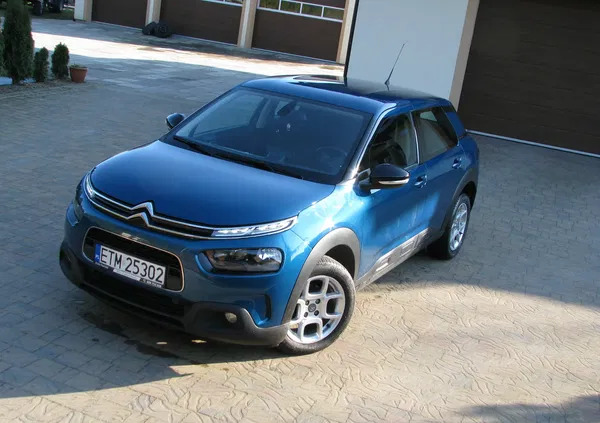 citroen pruszcz gdański Citroen C4 Cactus cena 51900 przebieg: 65500, rok produkcji 2019 z Pruszcz Gdański